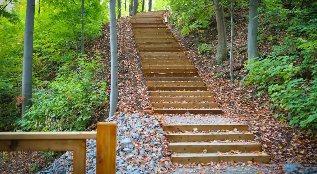 Escalier en bois avec marches et pierres concassées montant dans la forêt – sentier Parc du Grand-Coteau par BGC