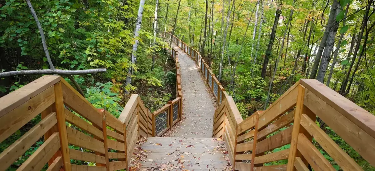 Vue plongeante sur escalier de bois avec rampes en forêt – aménagement Parc du Grand-Coteau Mascouche par BGC
